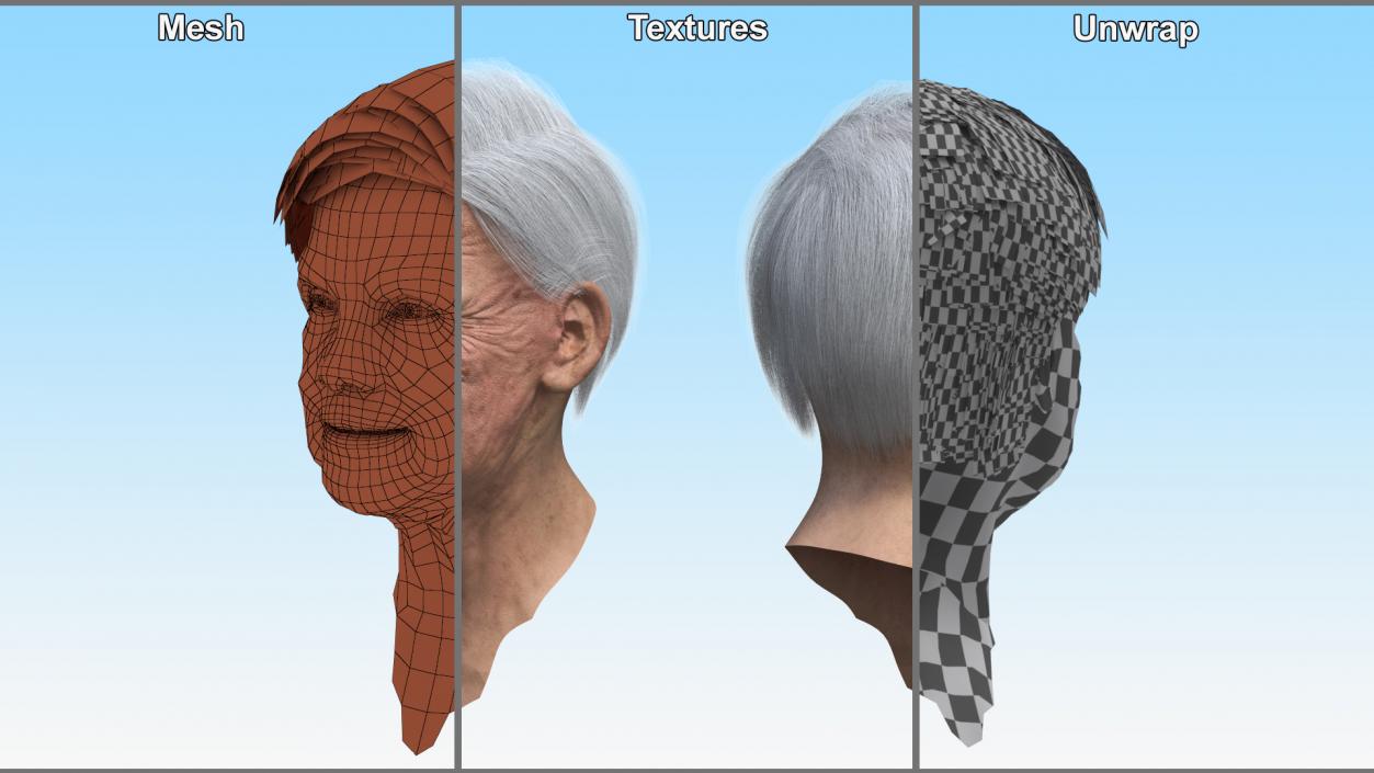 Older Womens Head 3D