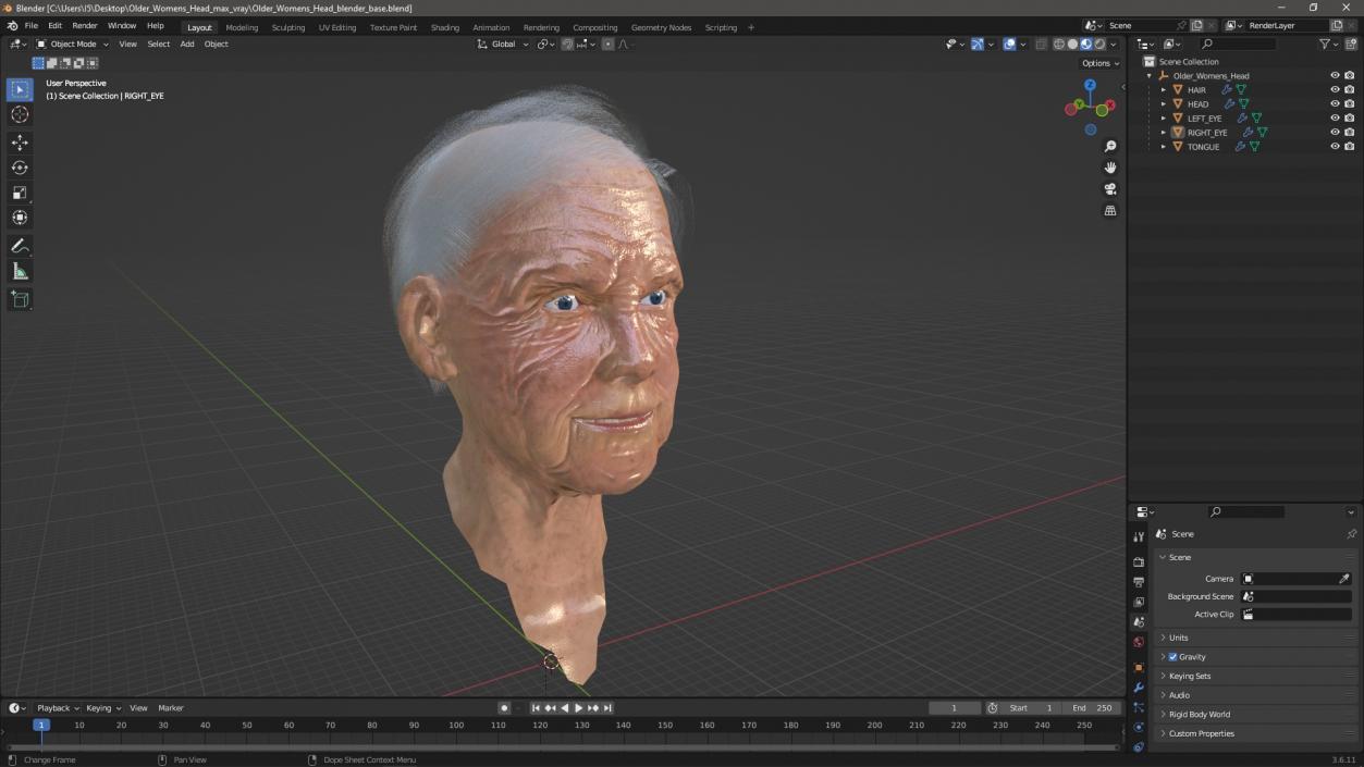 Older Womens Head 3D