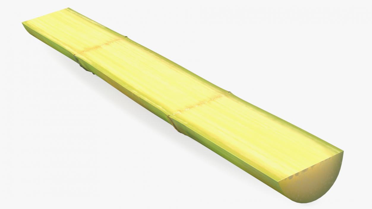 3D model Fresh Sugarcane Half Cut Piece