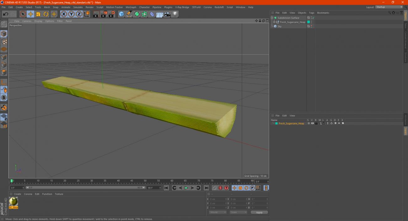 3D model Fresh Sugarcane Half Cut Piece