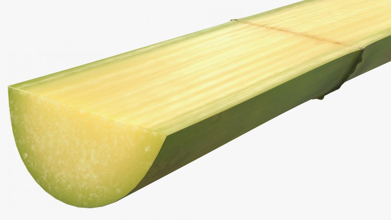 3D model Fresh Sugarcane Half Cut Piece