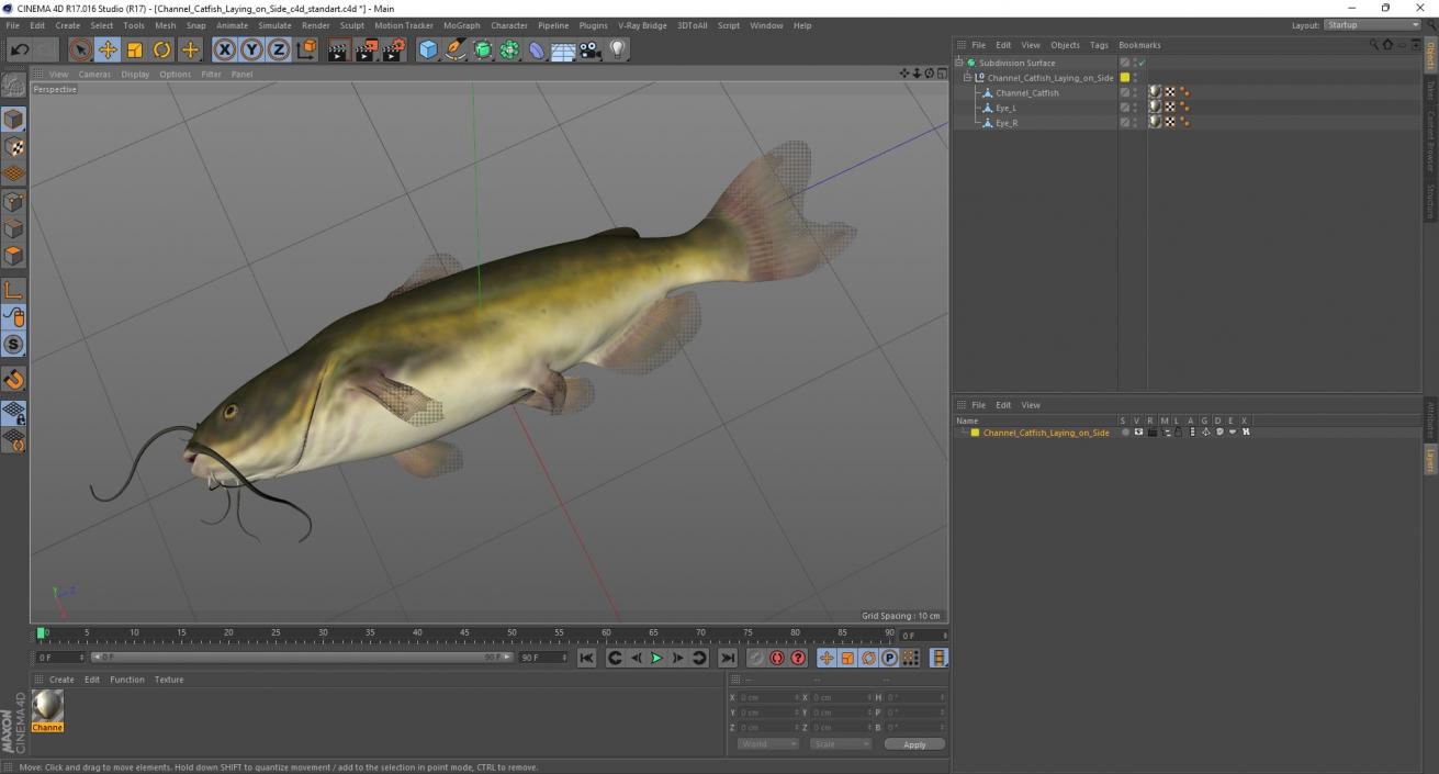 3D model Channel Catfish Laying on Side