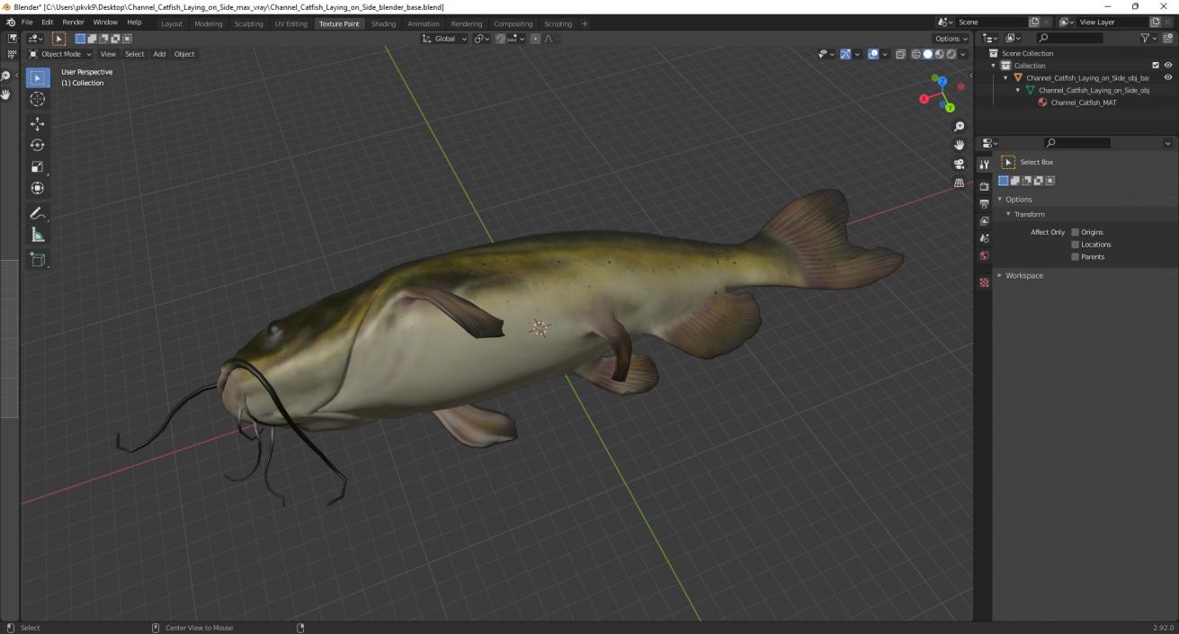 3D model Channel Catfish Laying on Side