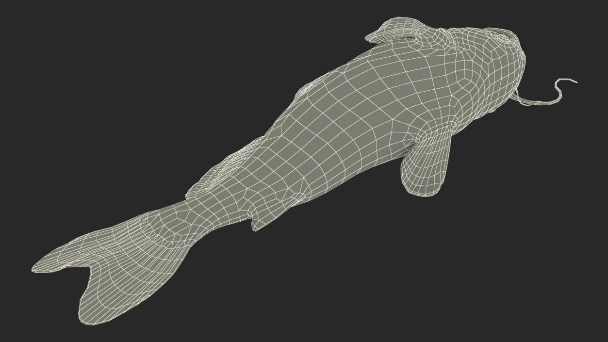 3D model Channel Catfish Laying on Side