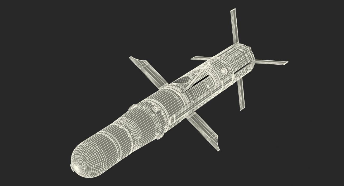 3D model BGM 71a TOW Missiles