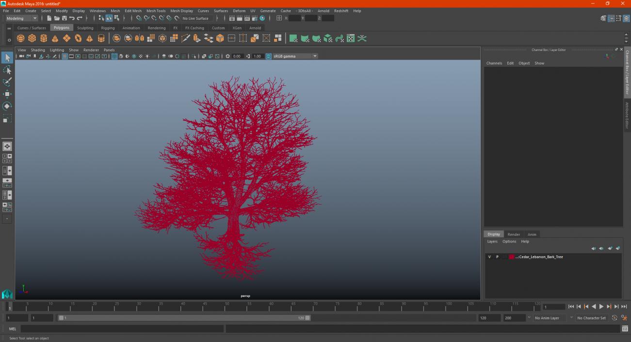 3D Cedar Lebanon Bark Tree model