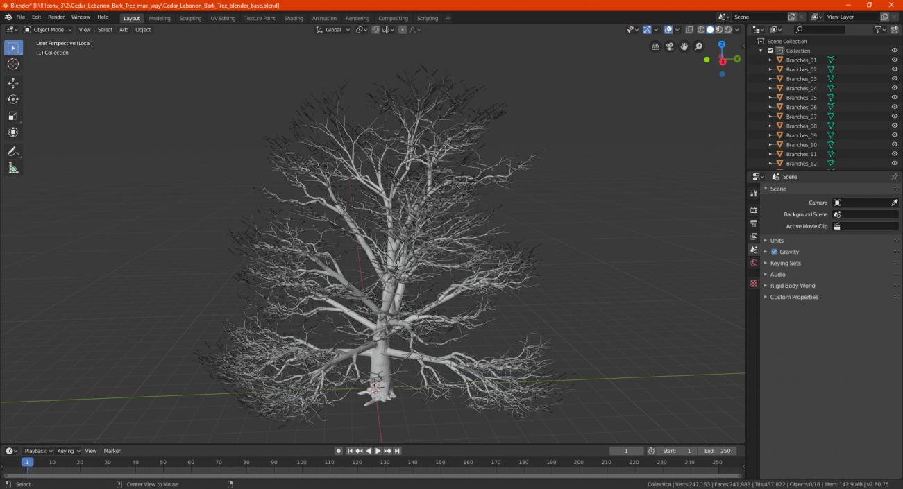 3D Cedar Lebanon Bark Tree model