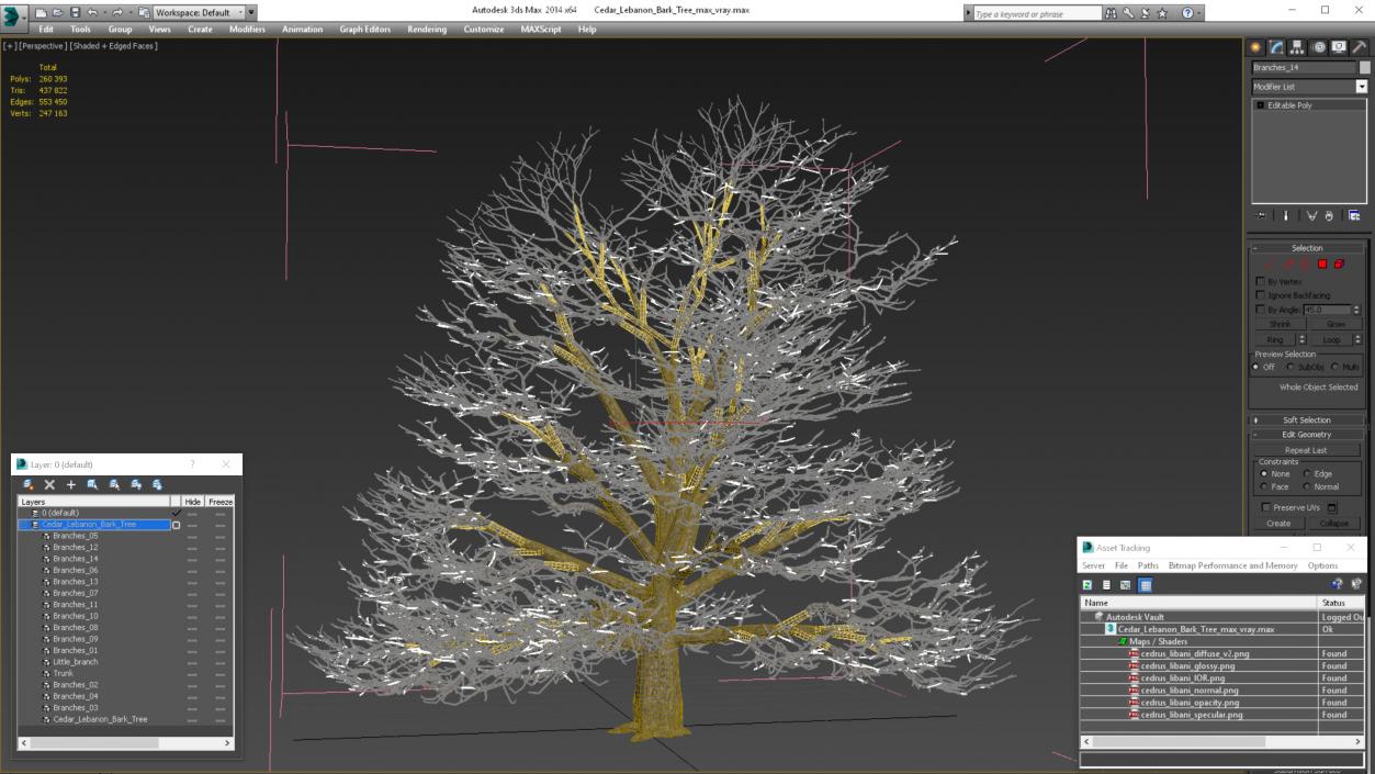 3D Cedar Lebanon Bark Tree model