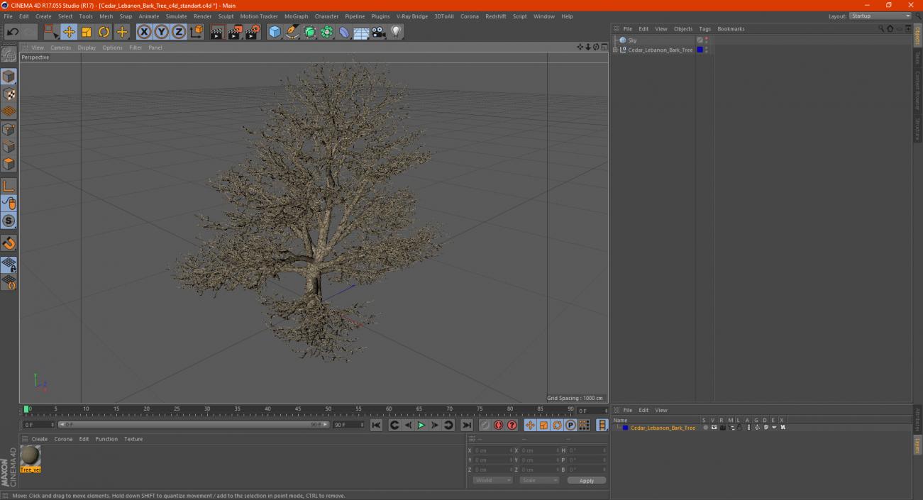 3D Cedar Lebanon Bark Tree model