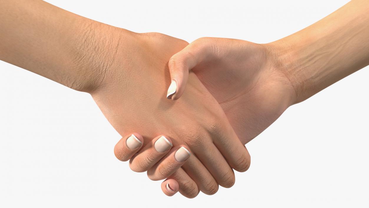 3D Handshake Female Hand