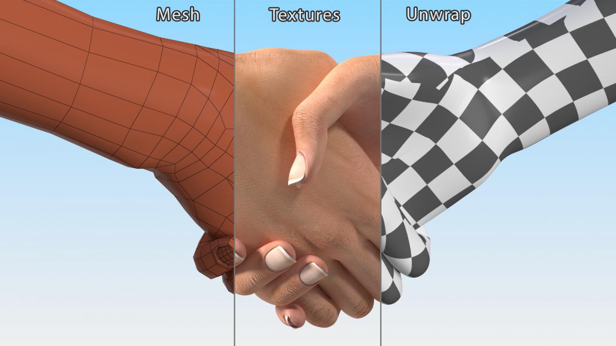 3D Handshake Female Hand