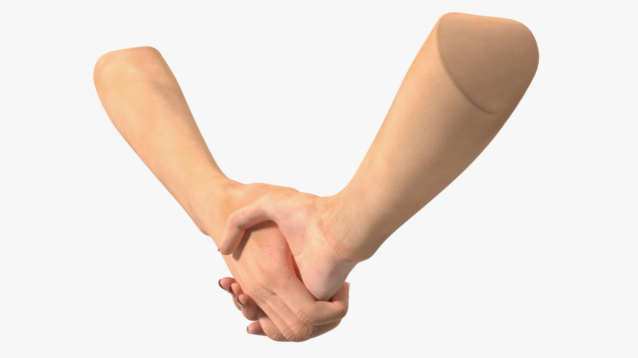 3D Handshake Female Hand