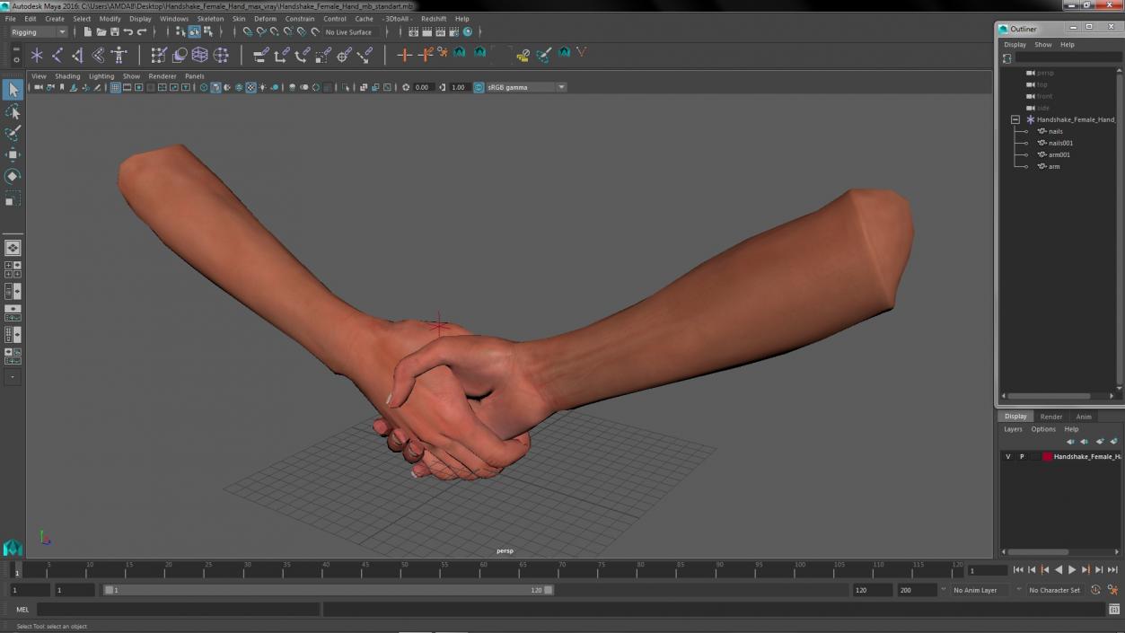 3D Handshake Female Hand