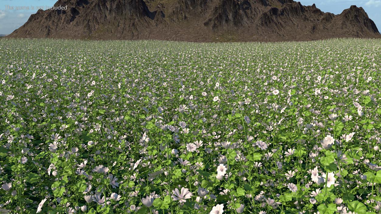 White Musk Mallow 3D