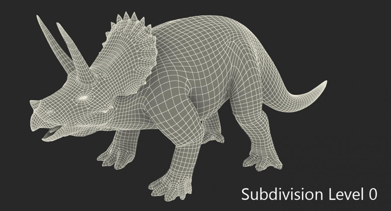 3D Triceratops Rigged model