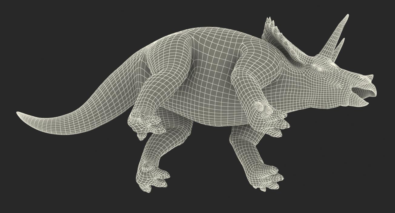 3D Triceratops Rigged model