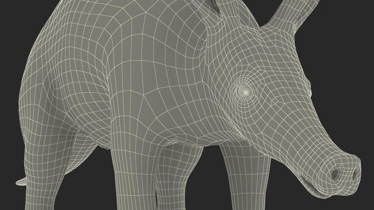 Aardvark Fur Rigged 3D model