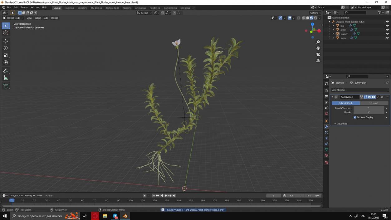 3D Aquatic Plant Elodea Adult