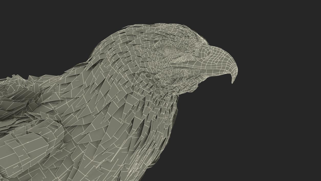 3D Gurney Eagle Standing