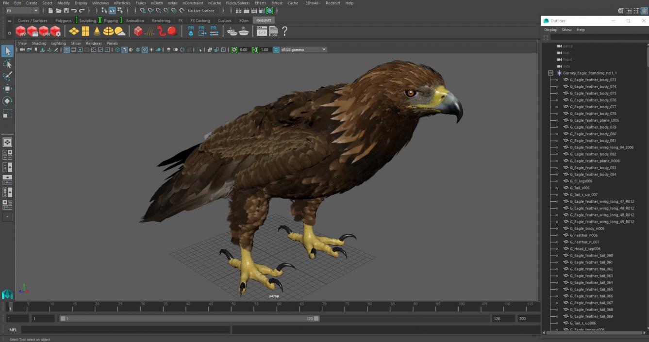 3D Gurney Eagle Standing