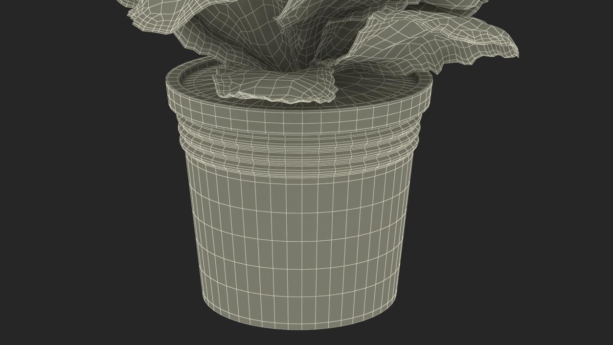 Potted Primrose Common Yellow 3D model