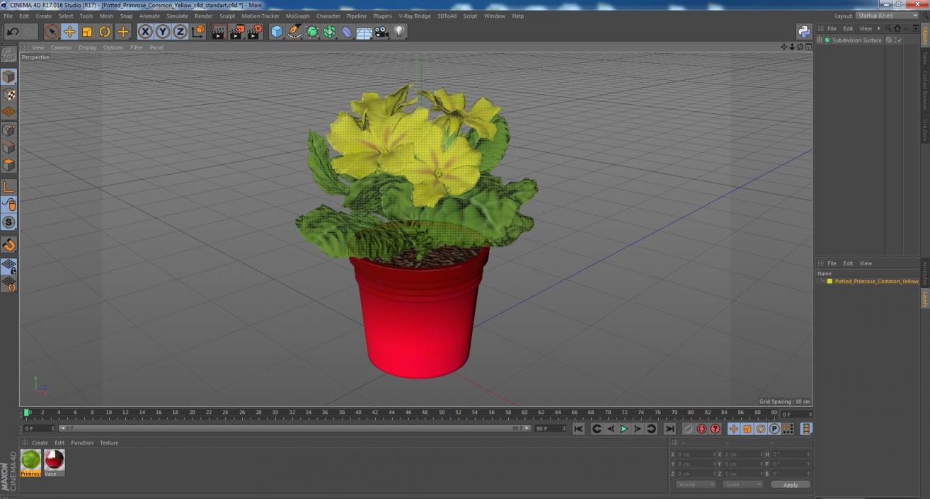 Potted Primrose Common Yellow 3D model