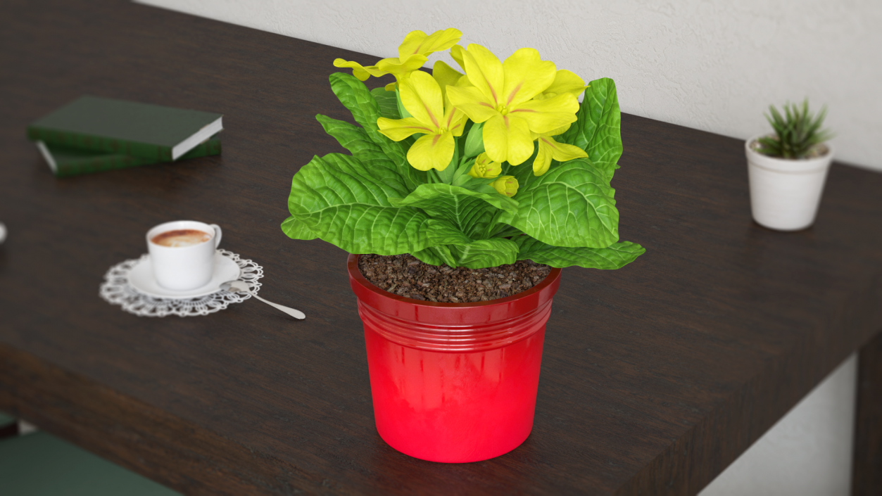 Potted Primrose Common Yellow 3D model