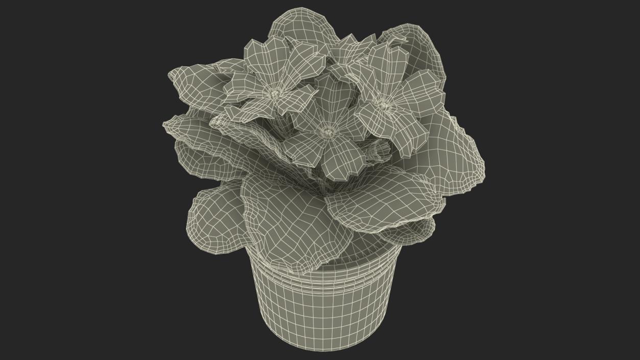 Potted Primrose Common Yellow 3D model