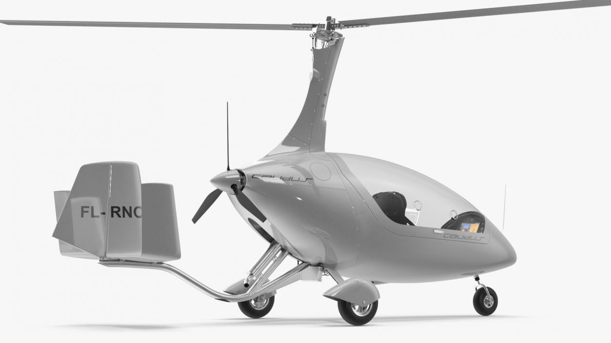 3D Autogyro Calidus 912 White