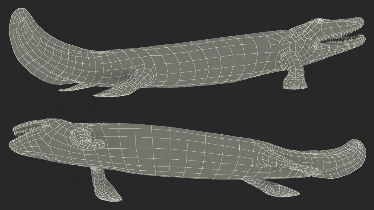 Hunting Tiktaalik 3D