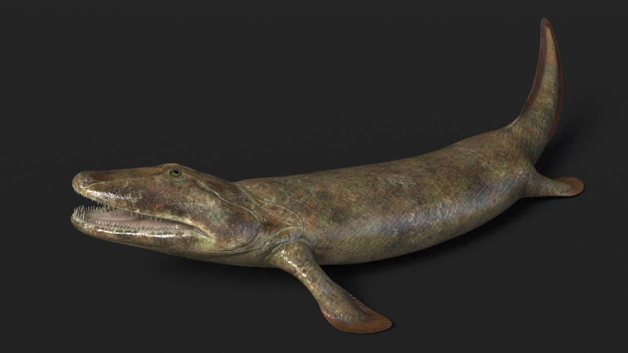 Hunting Tiktaalik 3D