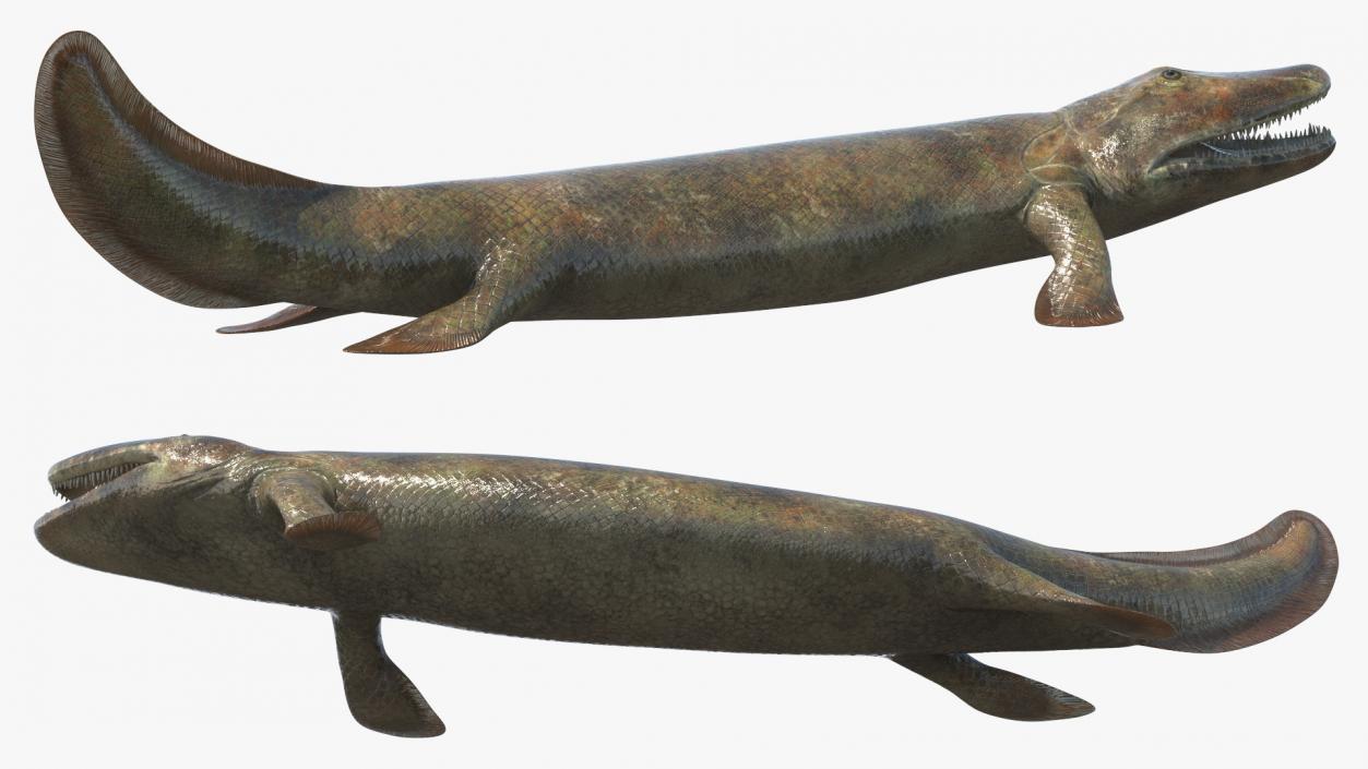 Hunting Tiktaalik 3D