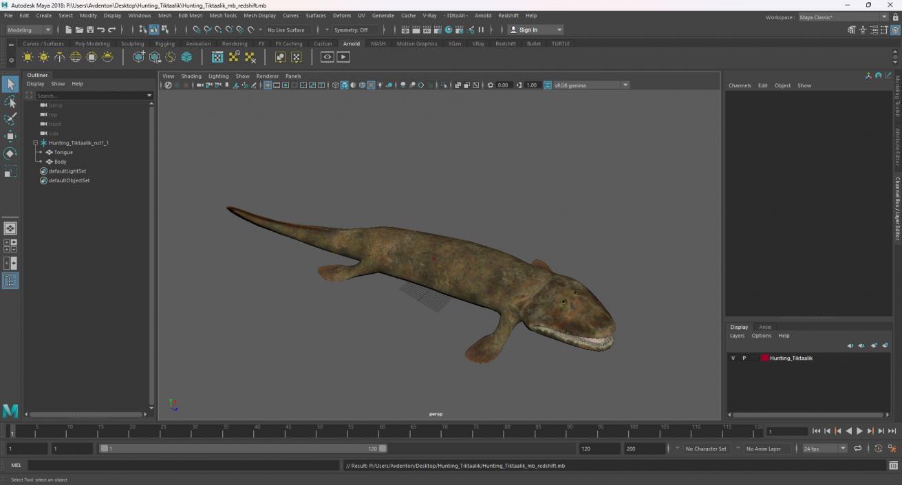 Hunting Tiktaalik 3D