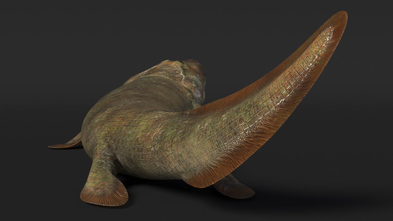 Hunting Tiktaalik 3D