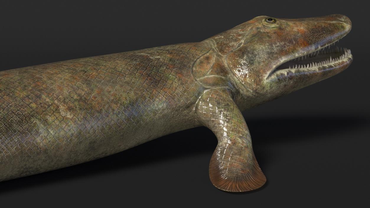 Hunting Tiktaalik 3D