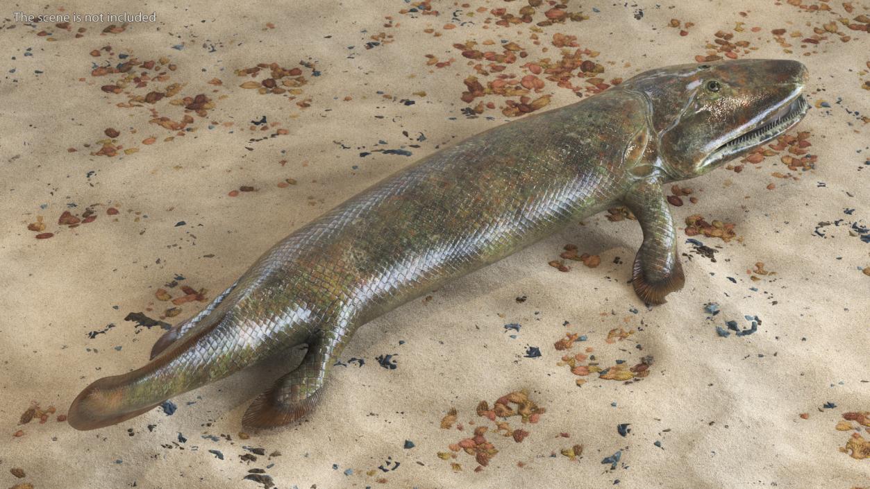 Hunting Tiktaalik 3D