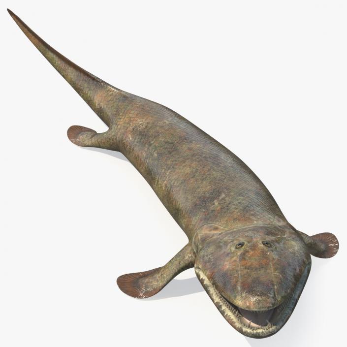 Hunting Tiktaalik 3D