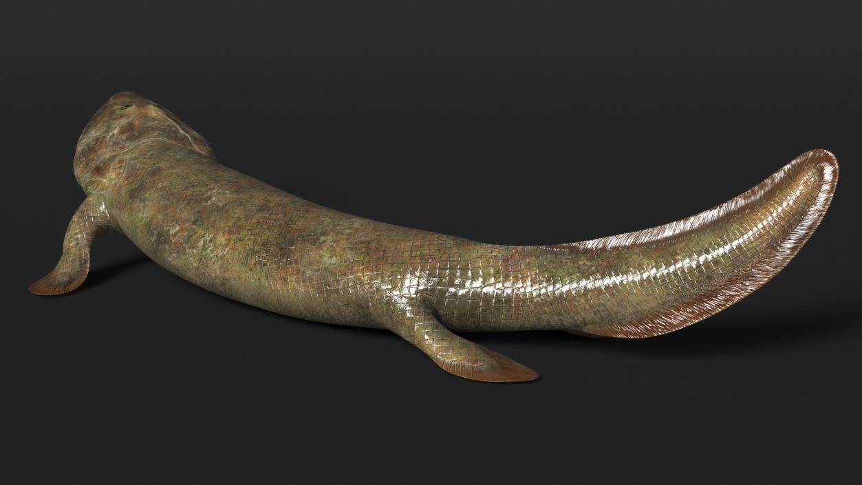 Hunting Tiktaalik 3D