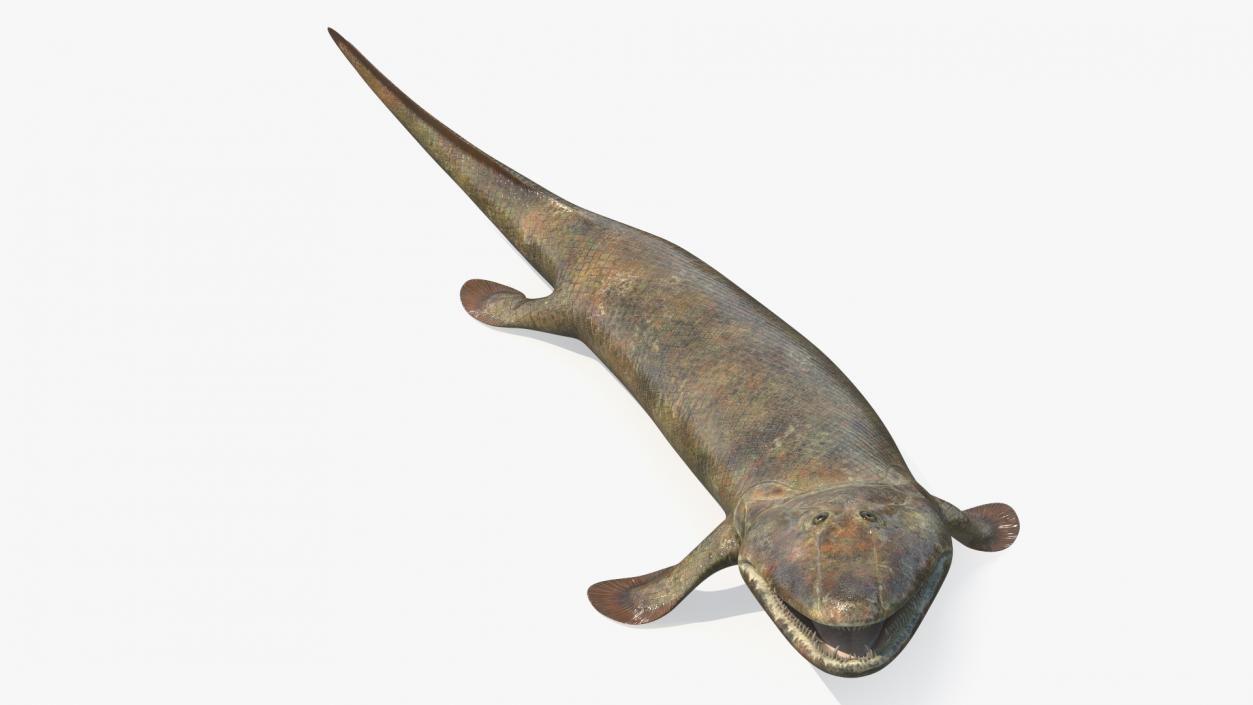 Hunting Tiktaalik 3D