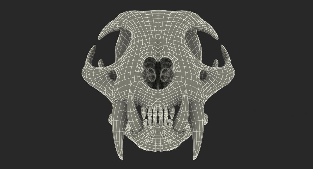 3D Tiger Skull