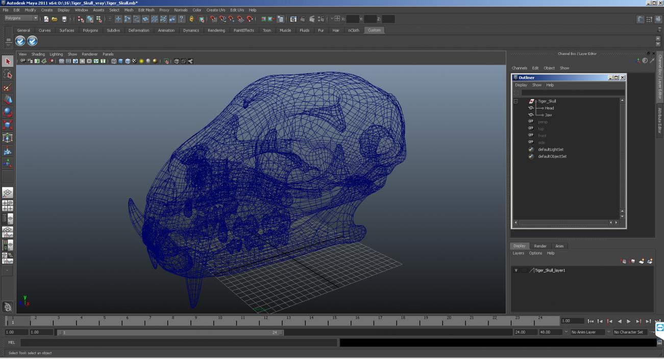 3D Tiger Skull