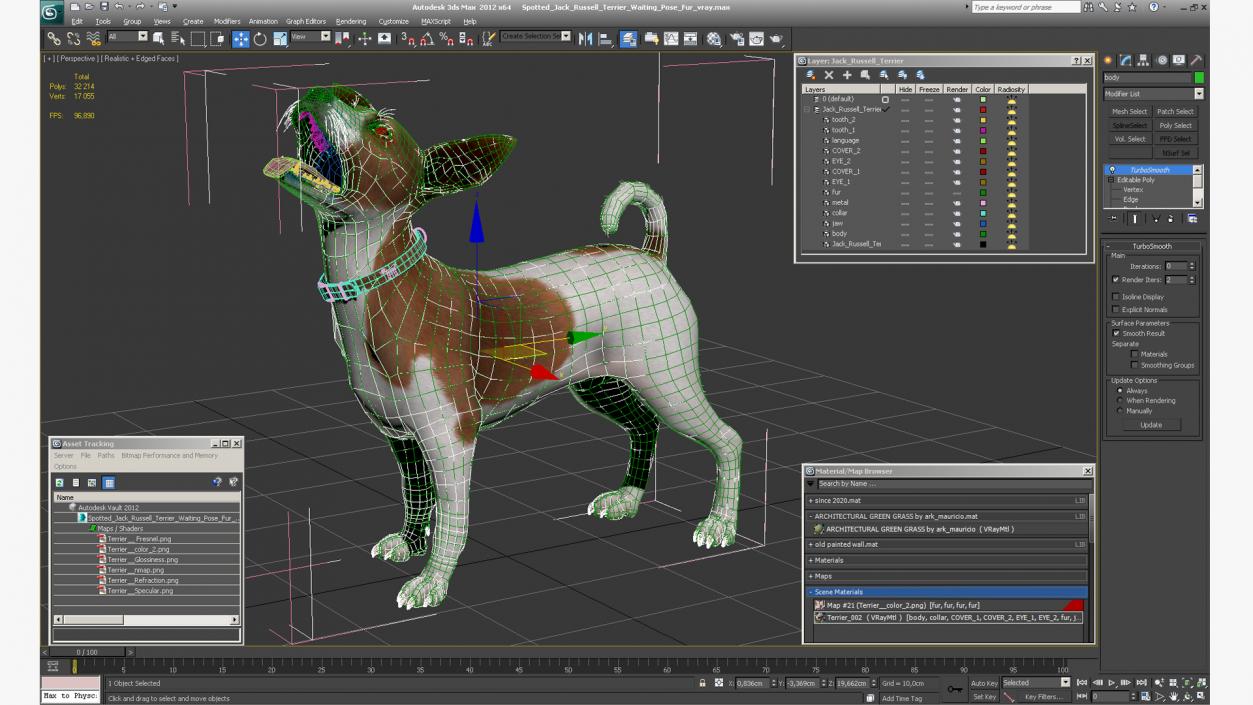 3D model Spotted Jack Russell Terrier Waiting Pose Fur