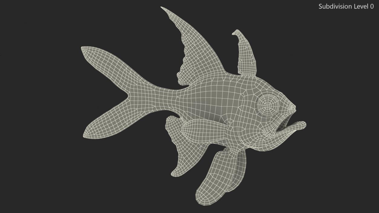 3D Banggai Cardinalfish Neutral Pose model