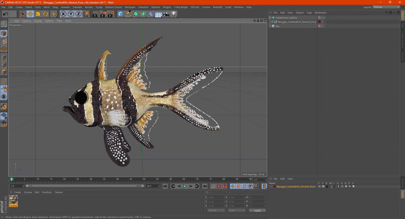 3D Banggai Cardinalfish Neutral Pose model