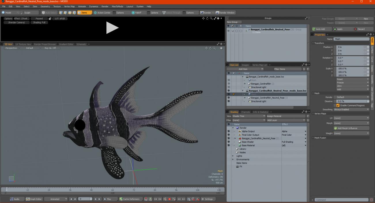 3D Banggai Cardinalfish Neutral Pose model