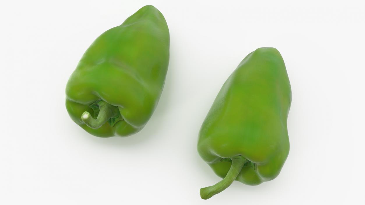 Long Green Pepper 3D