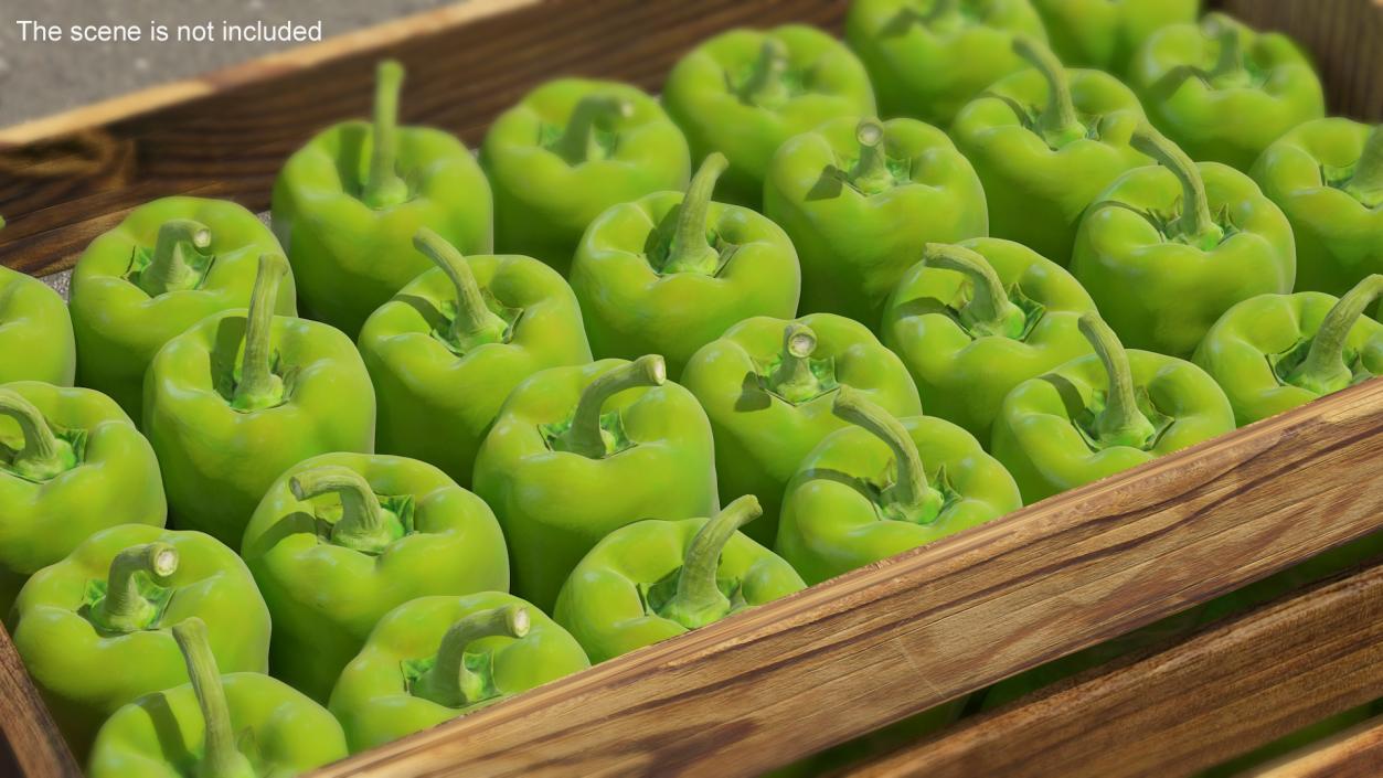 Long Green Pepper 3D