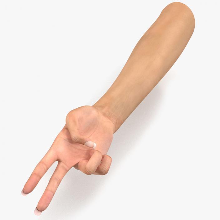 Female Hand 2 Rigged for Cinema 4D 3D model