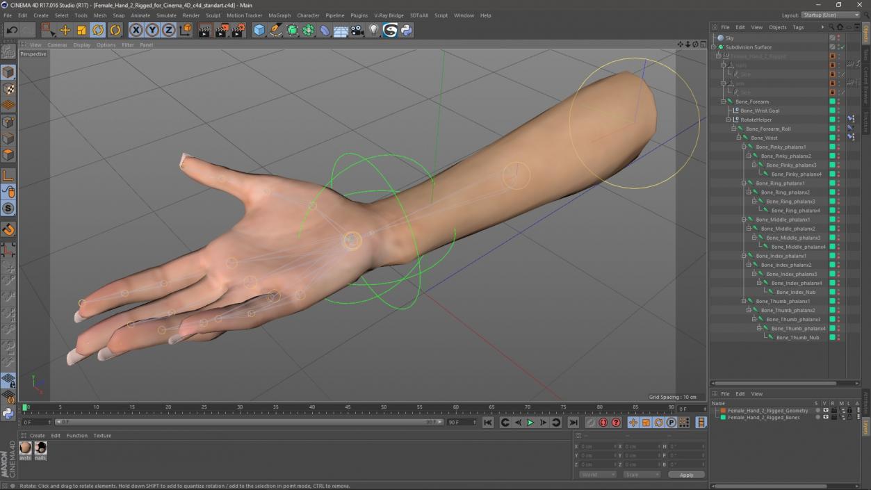 Female Hand 2 Rigged for Cinema 4D 3D model