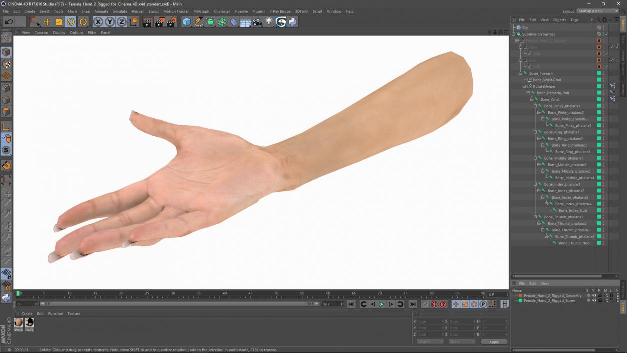 Female Hand 2 Rigged for Cinema 4D 3D model